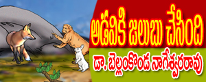 Adaviki jalubu chesindi
